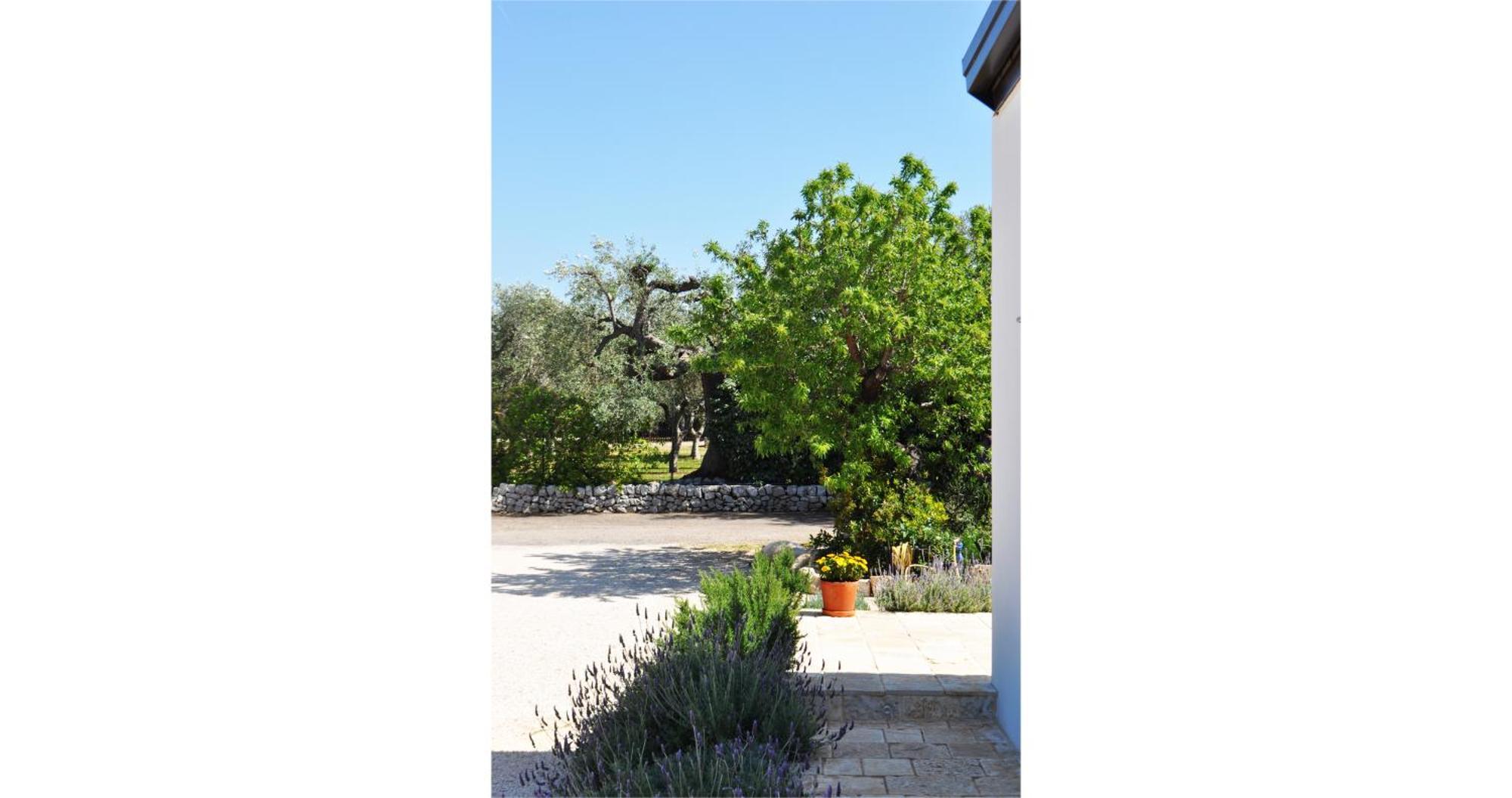Casale Petrarolo Bed & Breakfast โมโนโปลี ภายนอก รูปภาพ